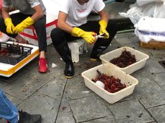 -青石桥市场北1-27号