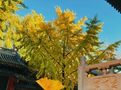 -盛世南宫影视城(北普陀影视城)