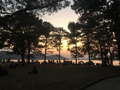 -东湖落雁景区
