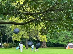 -华南国家植物园-售票处