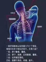 -香薇妮丝·定制减肥·身材管理