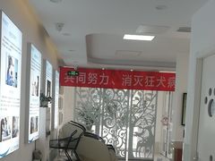 -北京观赏动物医院·24小时大型综合·猫专科·异宠专科