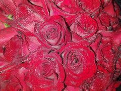 -金掌勺东北菜(格兰晴天店)