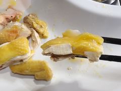 -食德喜·阳山鸡王食研基地