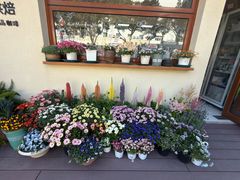 -满月蛋糕定制·商务茶歇·diy课程(万达广场店)