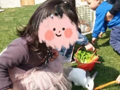 -前小桔亲子创意农场·草莓采摘·露营烧烤