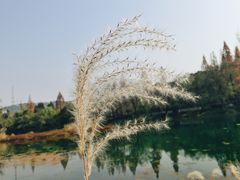 -潜山国家森林公园