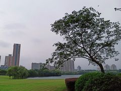 -黄兴公园