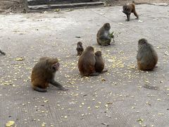 -黔灵山公园