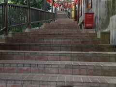 -鲤鱼塘农家山庄