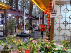 -小小饭店·休闲农庄·安吉松树林里的农家菜