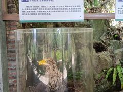 -青青世界