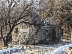 -阳台山自然风景区