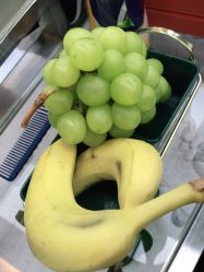 -木北造型