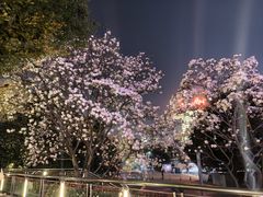 -Chili's Cafe&Bar奇利斯(滨江店)