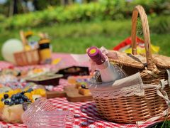 -春花秋色城市公园