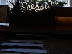 -Seesaw Coffee(朝阳大悦城店)