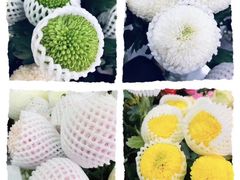 -双季花艺园艺市场(浦东店)