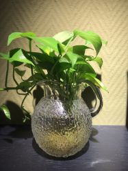 -BRANS PORO布朗斯伯勒西装高级定制·瑞璞西装(金陵店)