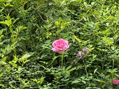 -西南政法大学(渝北校区)