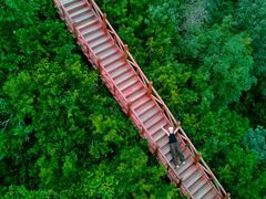 -大岭沟猕猴桃谷风景区