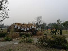 -夏河溪乡野公园