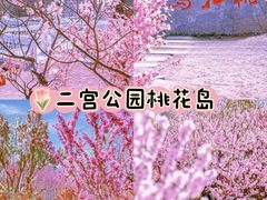 -桃花堤公园