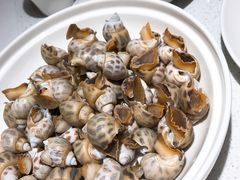 白灼特大花螺-79号渔船海鲜饭店(宝安店)