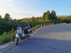 -南汇嘴观海公园