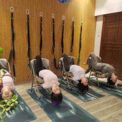 -花间禅净·瑜伽