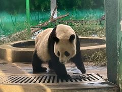 -天津市动物园
