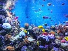 -成都浩海立方海洋公园