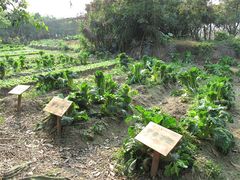 IMG_0649-茂德公草堂