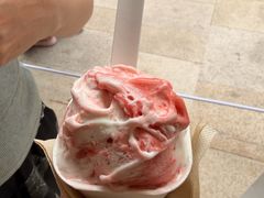 -喜茶(上海打浦桥日月光gelato lab+店)