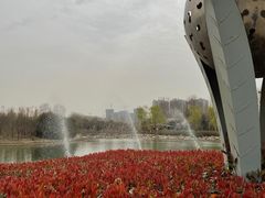 -郑州植物园