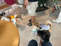 -omitofee咖啡(水泽店)