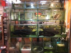 -正宗波记潮州砂锅粥(新洲一街店)