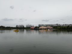 -上海长兴岛郊野公园