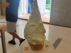 -野人先生Gelato(上海长宁龙之梦店)