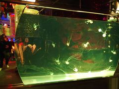 -大明湖海底世界