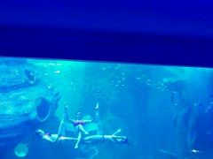 -多彩贵州城极地海洋世界