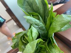 -楼外楼大刀肉传统火锅居(繁荣路店)