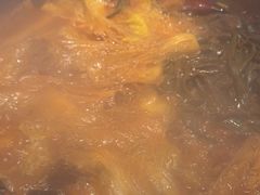 -山河屯铁锅炖鲜鹅·东北菜(开发区一店)