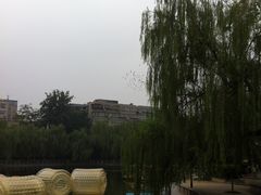 -莲湖公园
