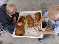 -苏州市吴中区光福窑上花果蜜饯厂