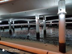 -演武大桥观景平台