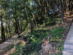 -青龙山公园