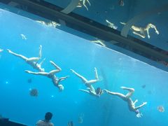 -瑞德姆美人鱼海底演艺主题餐厅(亚龙湾店)