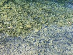 -星巴克(福州三坊七巷店)