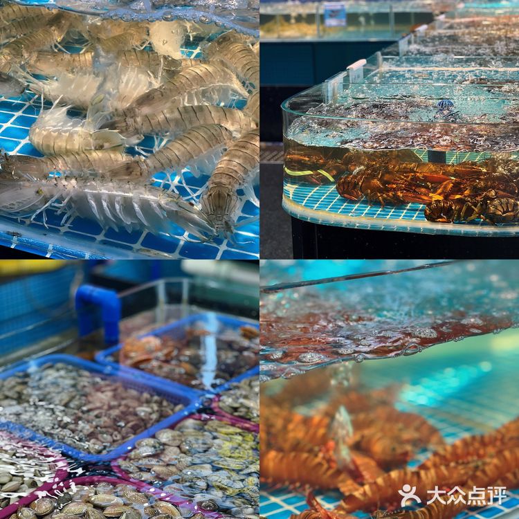 喂？都把人叫来三亚吃这家海鲜 太好吃了